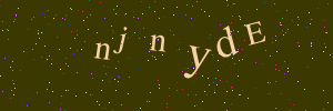Validation image